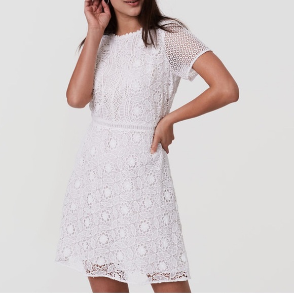 LOFT Dresses & Skirts - LOFT Lacy Dress Short Sleeve Round Neck Party Event Bachelorette Pretty Size 2